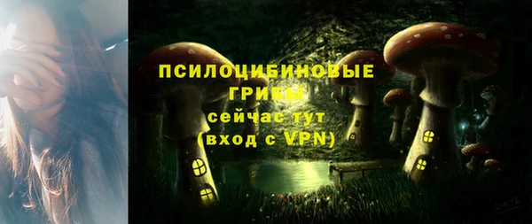 apvp Алзамай